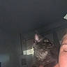 kitten, cat, pet, shoulder, indoor, person, animal, black_cat, curious, dim_light, window_blinds, face_partial, feline, cute, young_cat, domestic_animal, close_up, shadow, resting, companion