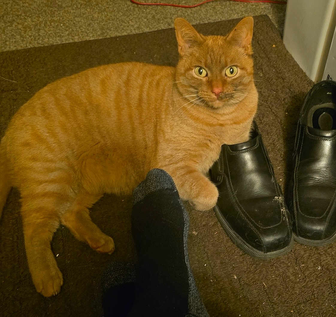 Cheeto