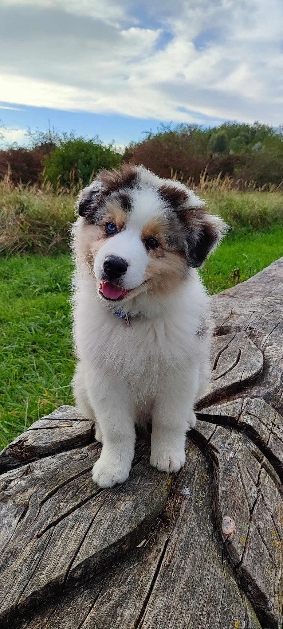 Alaska