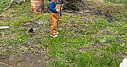 Ricky joined the competition — help win amazing prizes! toddler, child, overalls, cap, grass, trees, forest, barrel, branches, man, outdoor, nature, rust, work, smile, person, casual, daylight, ground, clothing