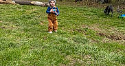 Ricky joined the competition — help win amazing prizes! beanie, casual, child, daylight, dog, forest, grass, jeans, lawn_mower, nature, outdoor, overalls, person, playing, shoes, spring, toddler, toy, trees, woods