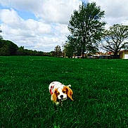 Barclay is registered to the contest to win money with this photo: