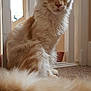 Dennis The Menace is registered to the contest to win money with this photo:
