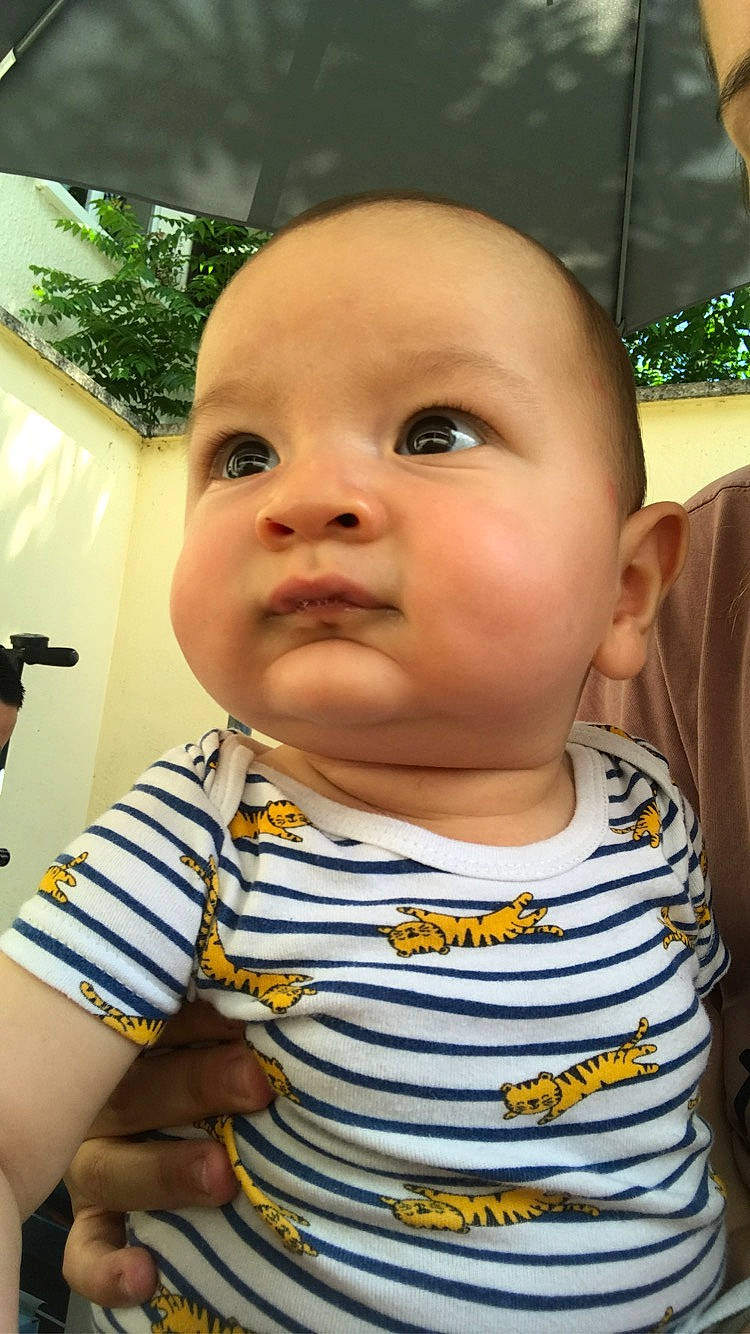 Landro a rejoint le concours — aidez-le/la à gagner de superbes lots ! baby, baby_toddler_clothing, cheek, child, chin, close_up, eyebrow, eyelash, fun, grass, hairstyle, happy, iris, lip, nose, person, plant, skin, sleeve, t_shirt
