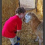 James joined the competition — help win amazing prizes! animal, barn, child, curiosity, curly_hair, cute, farm, fence, footwear, friendship, interaction, lamb, nature, outdoor, petting, red_shirt, shorts, straw, tender_moment, young