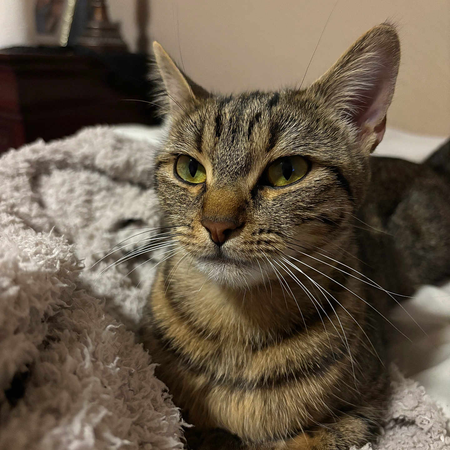 Freya