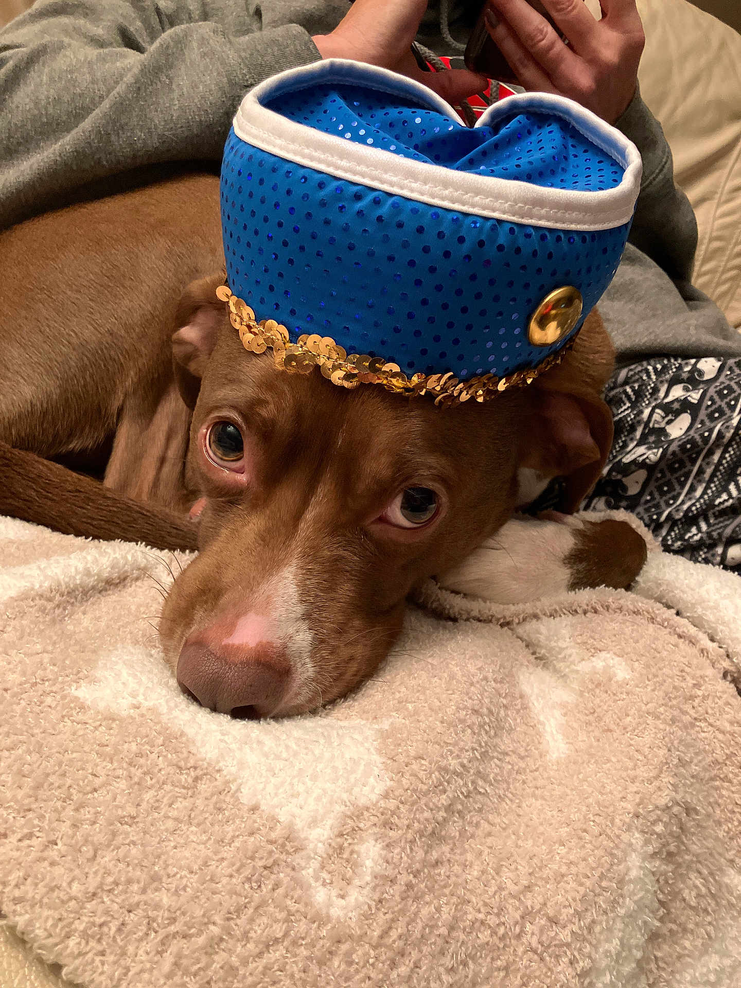 Hersheybar
