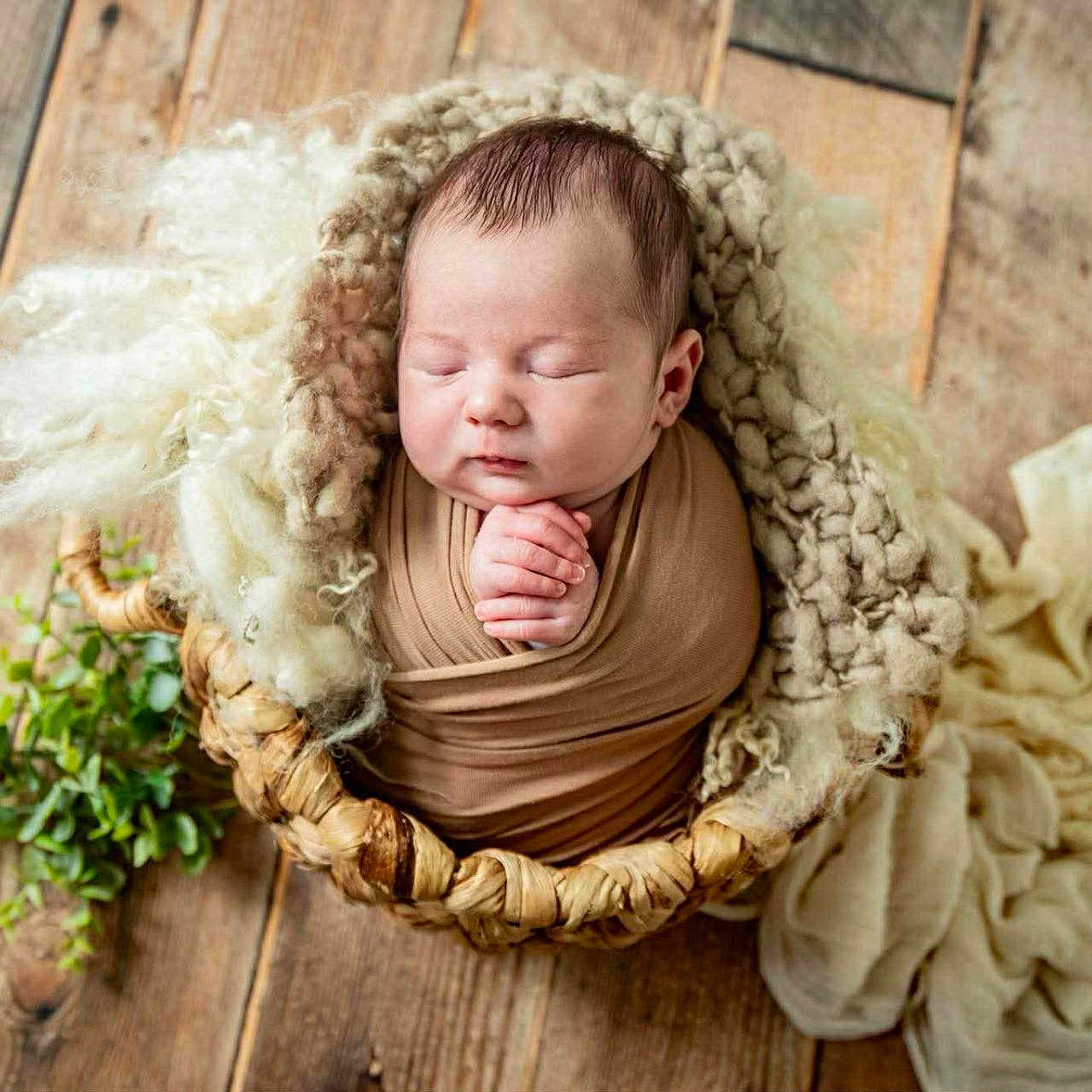 Lyle is registered to the contest to win money with this photo: baby, basket, closed_eyes, cozy, cute, greenery, hands, homedecor, indoors, infant, newborn, peaceful, plush, portrait, sleeping, soft_texture, swaddle, wooden_floor, wool, wrapped