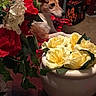 Chloé joined the competition — help win amazing prizes! animal, background, bouquet, colorful, cozy, curious, decor, dog, floral, flower_pot, flowers, indoor, leaf, pet, plant, red_roses, table, vase, white_roses, yellow_roses