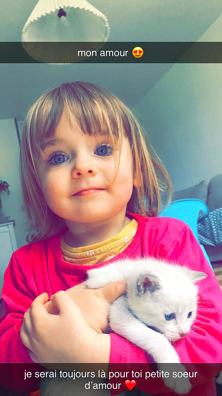 Louison a rejoint le concours — aidez-le/la à gagner de superbes lots ! bangs, beauty, blond, child, companion_dog, eyelash, felidae, happy, houseplant, iris, mouth, nose, organ, person, rabbit, skin, small_to_medium_sized_cats, smile, t_shirt, toddler