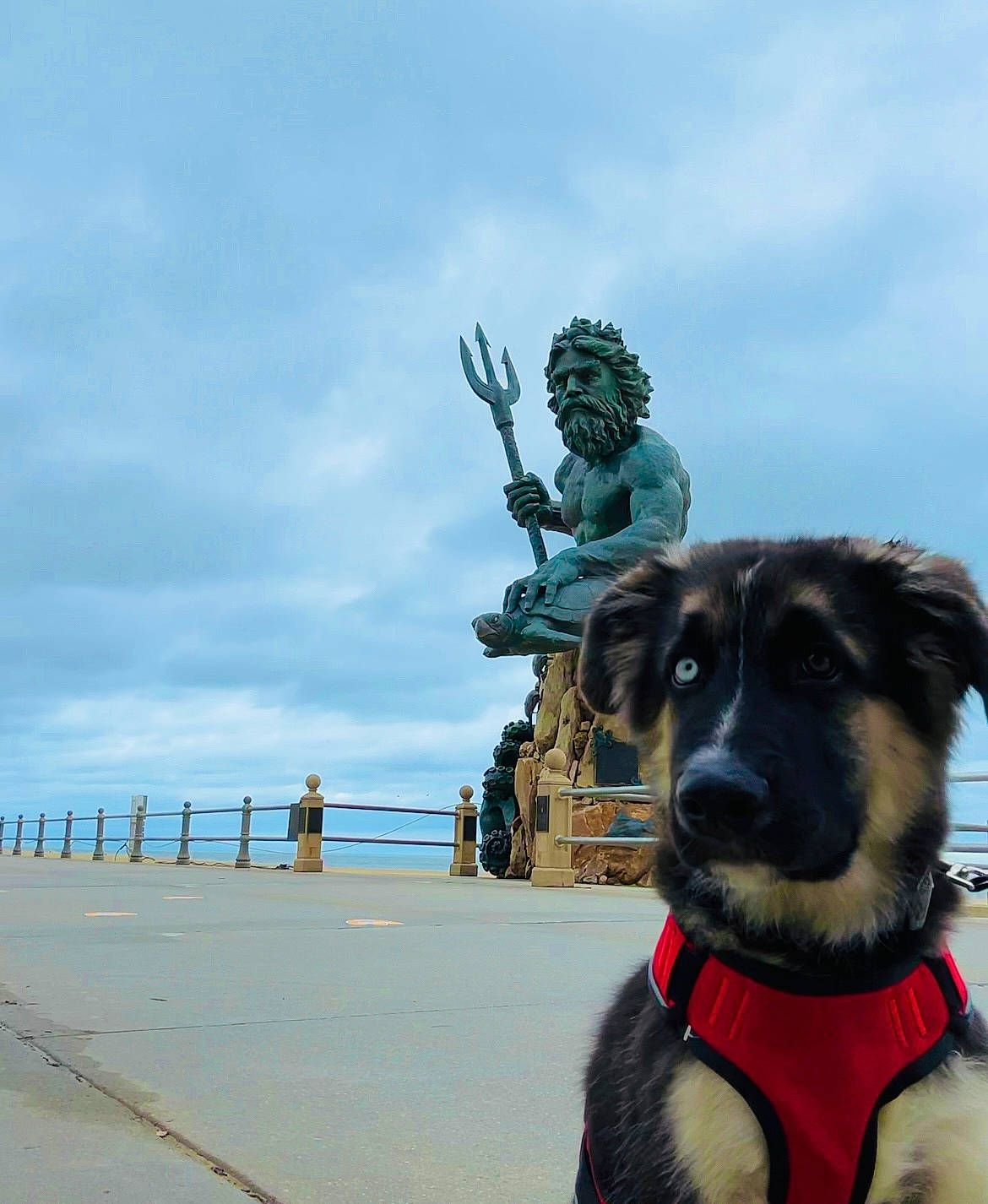 Ace is registered to the contest to win money with this photo: art, carnivore, cloud, collar, companion_dog, dog, dog_breed, dog_collar, fawn, fur, leisure, monument, sculpture, sky, snout, sporting_group, statue, tree, water, working_animal