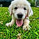Arlo
