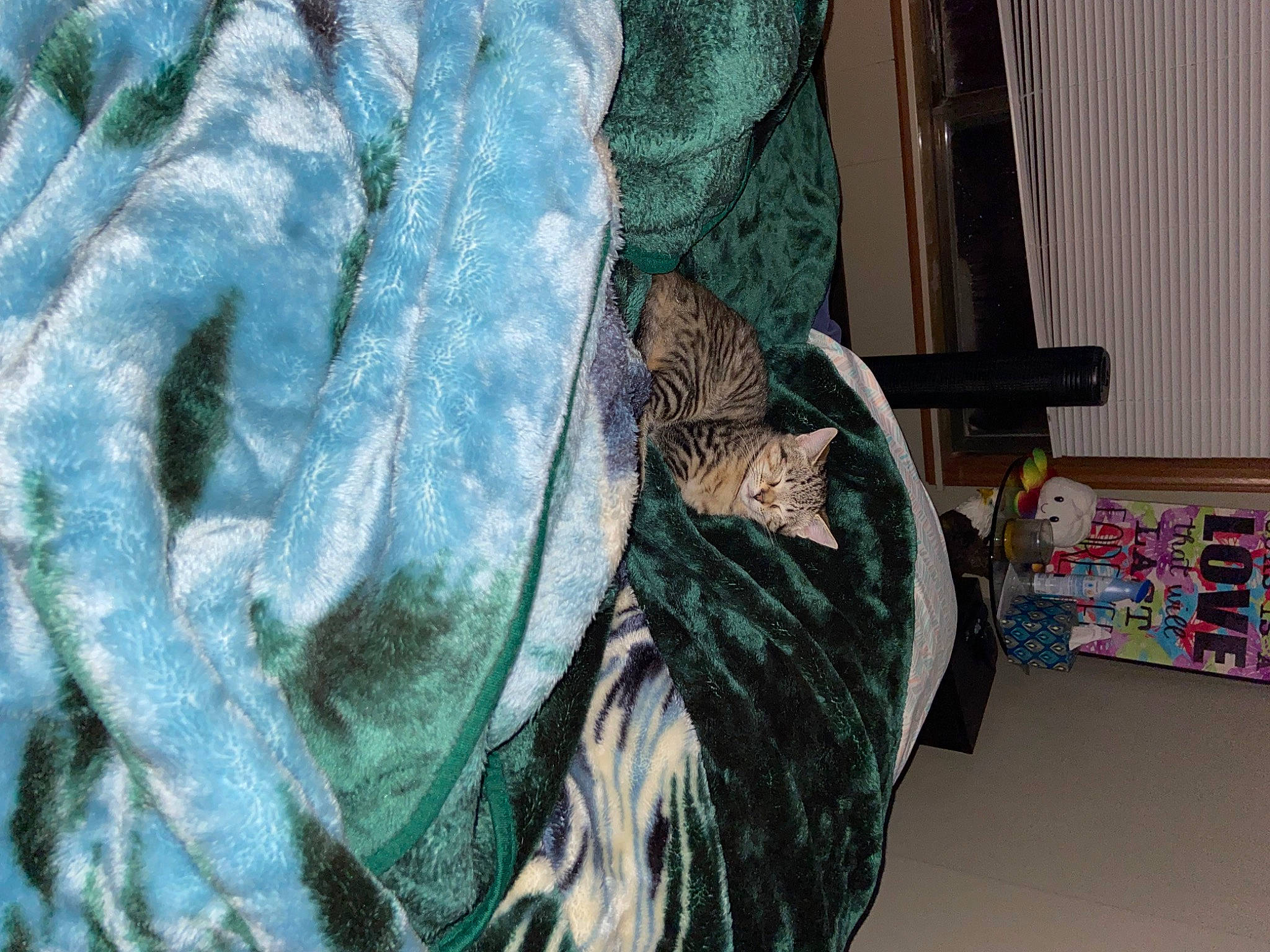 Kitcat joined the competition — help win amazing prizes! art, feather, freezing, fur, glass, illustration, linens, mammal, painting, pattern, sculpture, statue, thread, tree, vertebrate, visual_arts, wing, winter, wood, wool