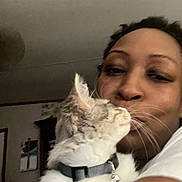 Lito Bagley is registered to the contest to win money with this photo: affection, animal, bell, cat, closeup, collar, cuddle, domestic, face, feline, fur, home, human, indoor, interaction, love, person, pet, portrait, whiskers