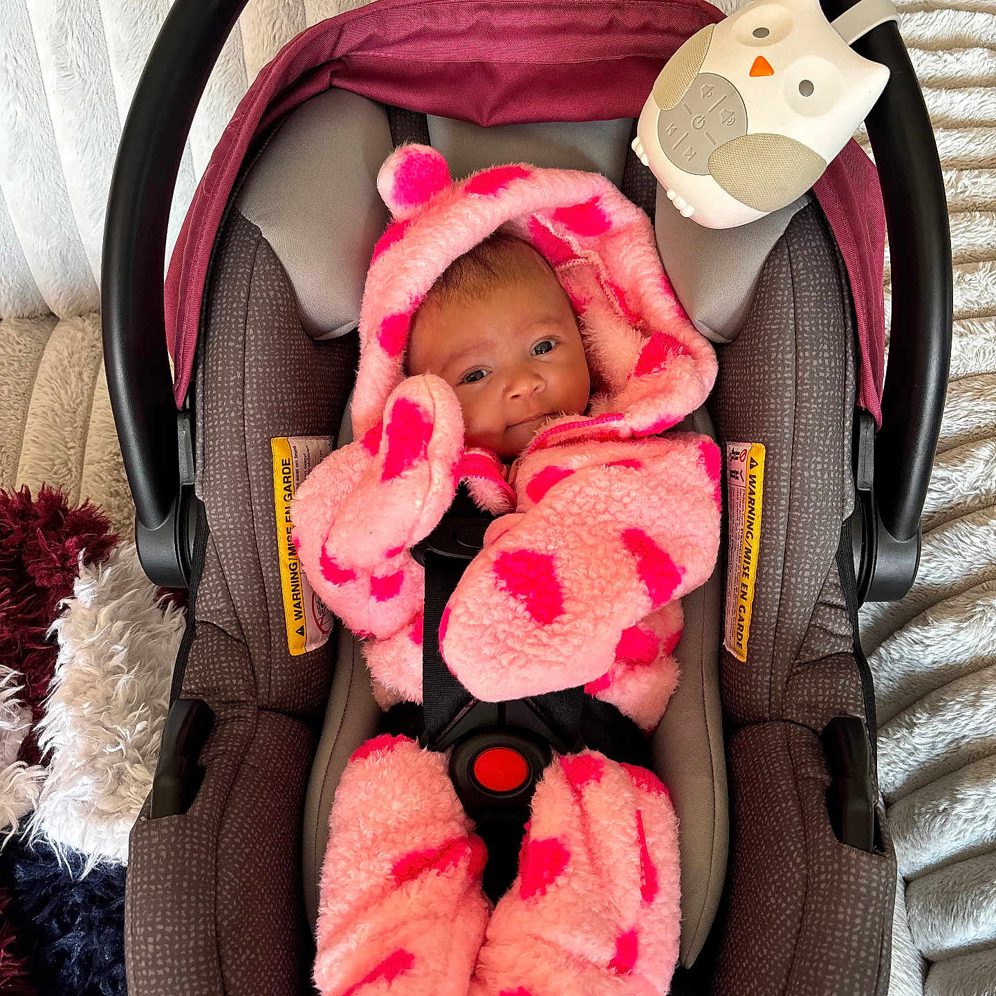 Mila is registered to the contest to win money with this photo: baby, bed, car, car_interior, carseat, clothing, crib, cushion, face, furniture, hat, head, homedecor, infantbed, person, photography, portrait, sleeping, transportation, vehicle