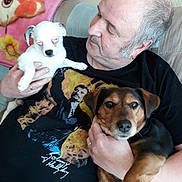 Lorada a rejoint le concours — aidez-le/la à gagner de superbes lots ! man, dog, puppy, couch, blanket, indoor, pet, holding, casual_clothing, tshirt, portrait, relaxed, companion, home, seated, love, animal, face, human, friendship