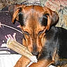 Canelle participe au concours pour gagner de l'argent avec cette photo :
