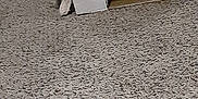 Colby Jack joined the competition — help win amazing prizes! cat, cardboard_box, carpet, indoor, pet, animal, curious, hiding, cozy, feline, floor, cute, domestic, home, playful, resting, small, box, whiskers, shadow