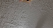 Colby Jack is registered to the contest to win money with this photo: animal, carpeted_ledge, cat, ceiling, closeup, curious, cute, ears, feline, indoor, looking_down, orange_cat, paws, peeking, pet, playful, shadow, texture, whiskers, white_cat