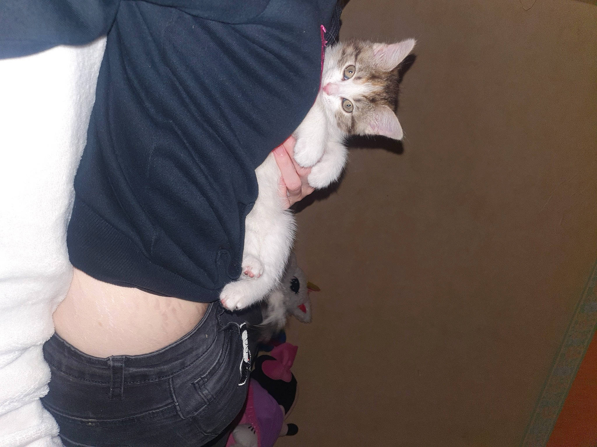 Nenette participe au concours pour gagner de l'argent avec cette photo : abdomen, arm, cat, chest, denim, elbow, felidae, finger, fur, gesture, human_leg, knee, nail, sleeve, sportswear, t_shirt, thigh, trunk, waist, wrist