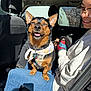 animal, bandana, blue_jeans, car, clothing, dog, friendship, glasses, happy, interior, joy, lap, person, pet, portrait, seat, smiling, sunlight, white_hoodie, window