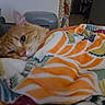 cat, orange_tabby, blanket, patterned_blanket, cozy, indoor, couch, relaxed, pet, fur, whiskers, ear, pink_nose, home, living_room, soft_texture, resting, comfort, animal, feline