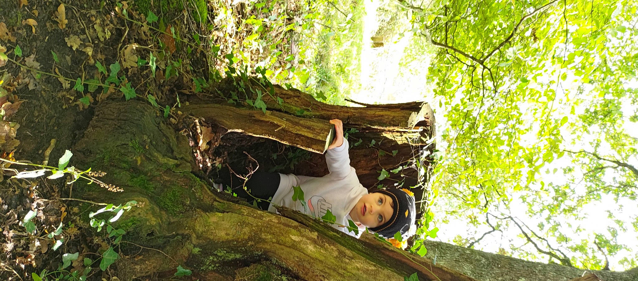 Sharlyne participe au concours pour gagner de l'argent avec cette photo : deciduous, forest, grass, happy, headwear, jungle, landscape, leisure, natural_landscape, northern_hardwood_forest, old_growth_forest, people_in_nature, person, plant, rock, temperate_broadleaf_and_mixed_forest, tree, trunk, twig, wood