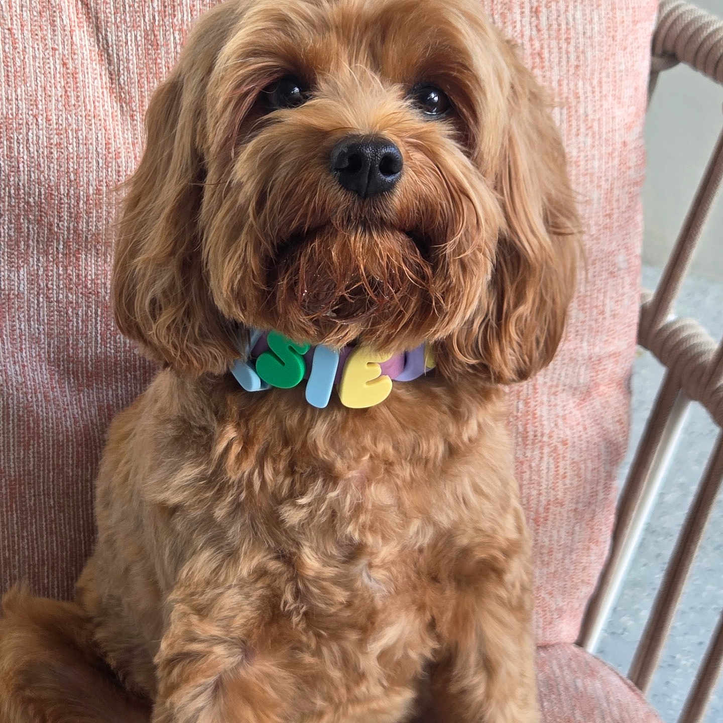 Elsie Lou