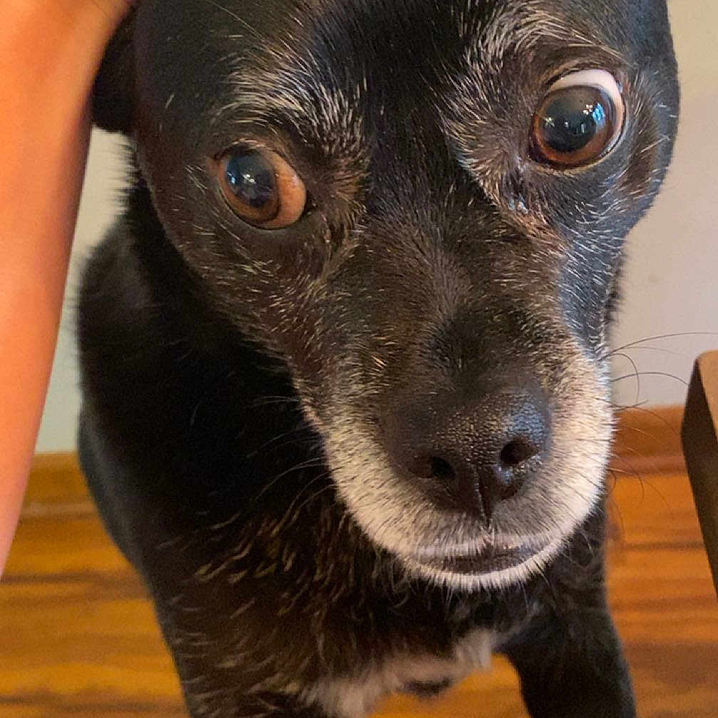 Frida