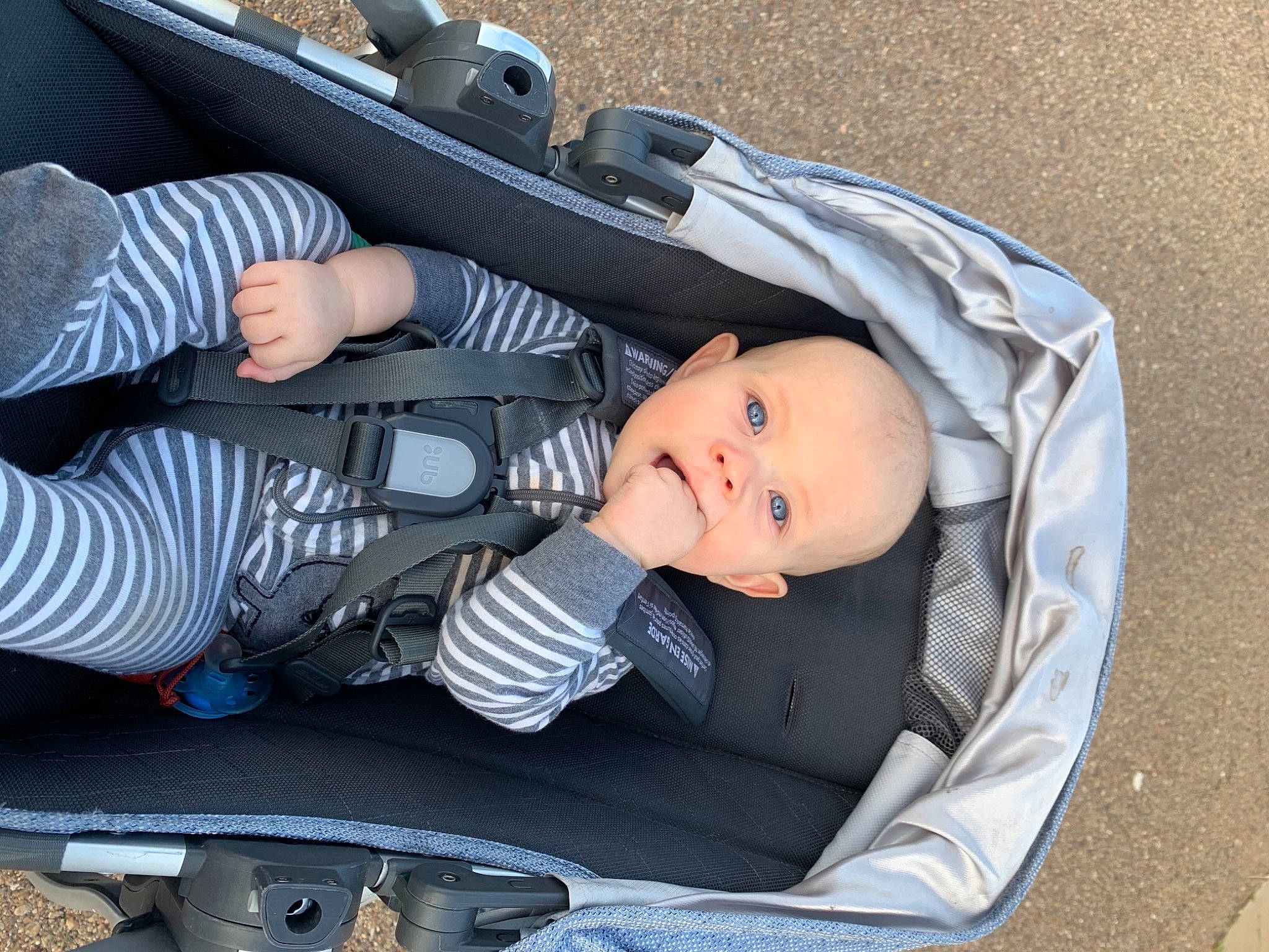 Ledger is registered to the contest to win money with this photo: baby, baby_carriage, baby_in_car_seat, baby_products, car_seat, child, comfort, nap, person, product, sitting, sleep, toddler