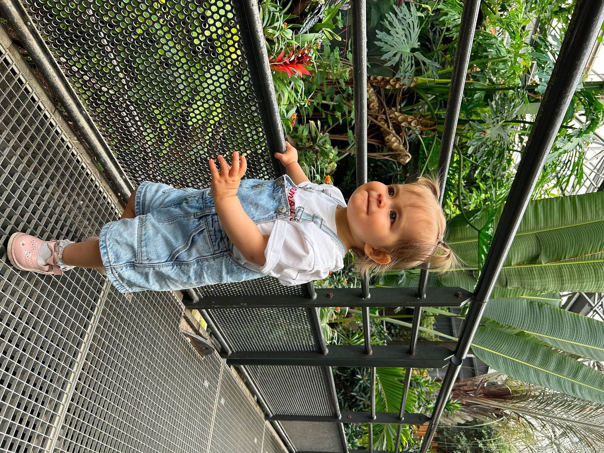 Liyah participe au concours pour gagner de l'argent avec cette photo : chain_link_fencing, child, foot, fun, grass, hammock, leisure, mesh, net, people_in_nature, person, plant, recreation, shade, shorts, swing, thigh, toddler, tree, vertebrate