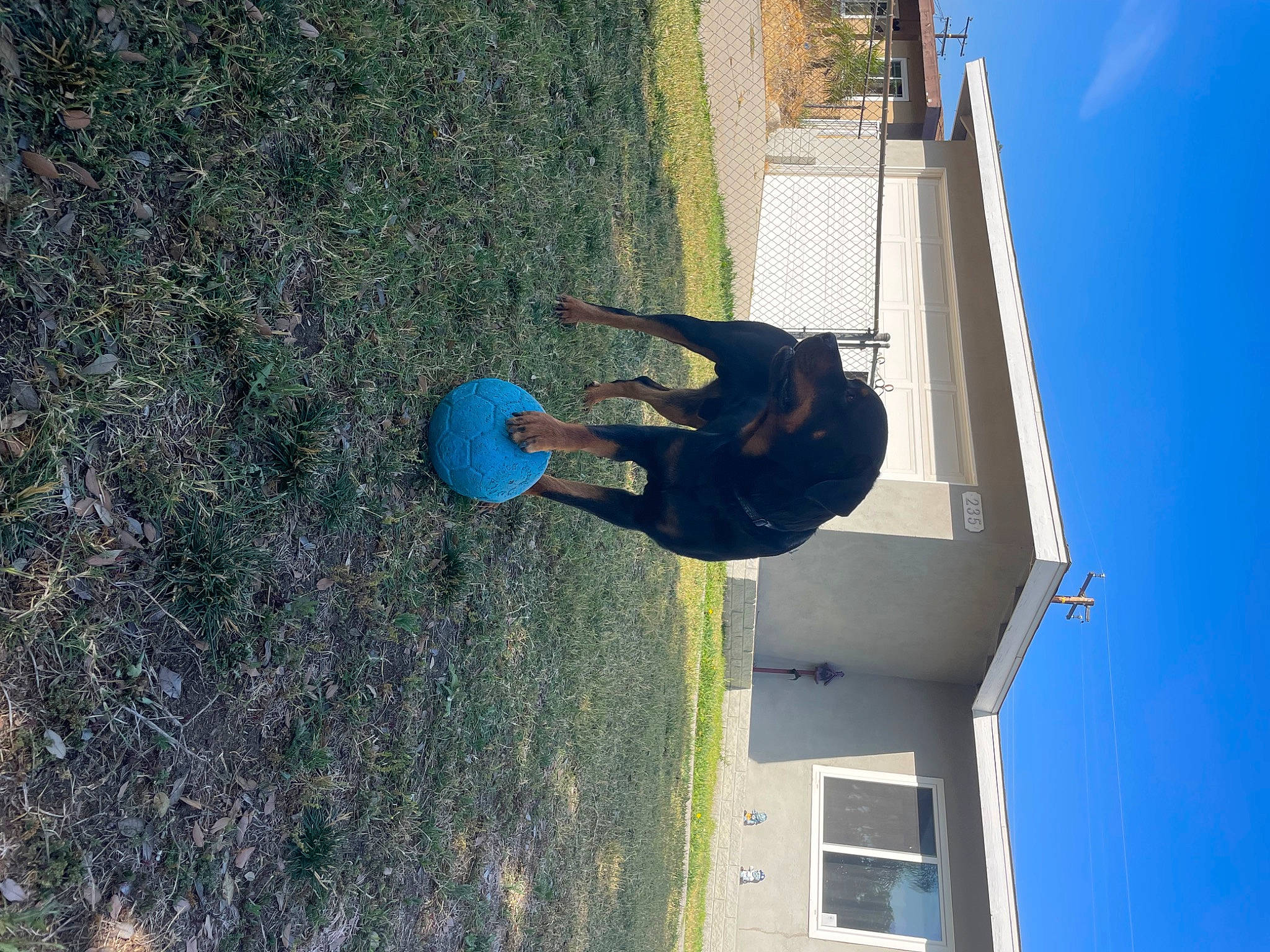 Odin is registered to the contest to win money with this photo: adventure, azure, concrete, elbow, electric_blue, fun, grass, leisure, plant, recreation, shadow, sky, soil, walking_shoe, water, window