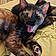Mona