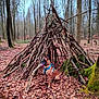 N'J participe au concours pour gagner de l'argent avec cette photo : adventure, animal, brown_dog, canine, dog, fall, forest, harness, leaves, moss, nature, outdoor, park, sitting, sticks, teepee, trees, trunk, wilderness, wood