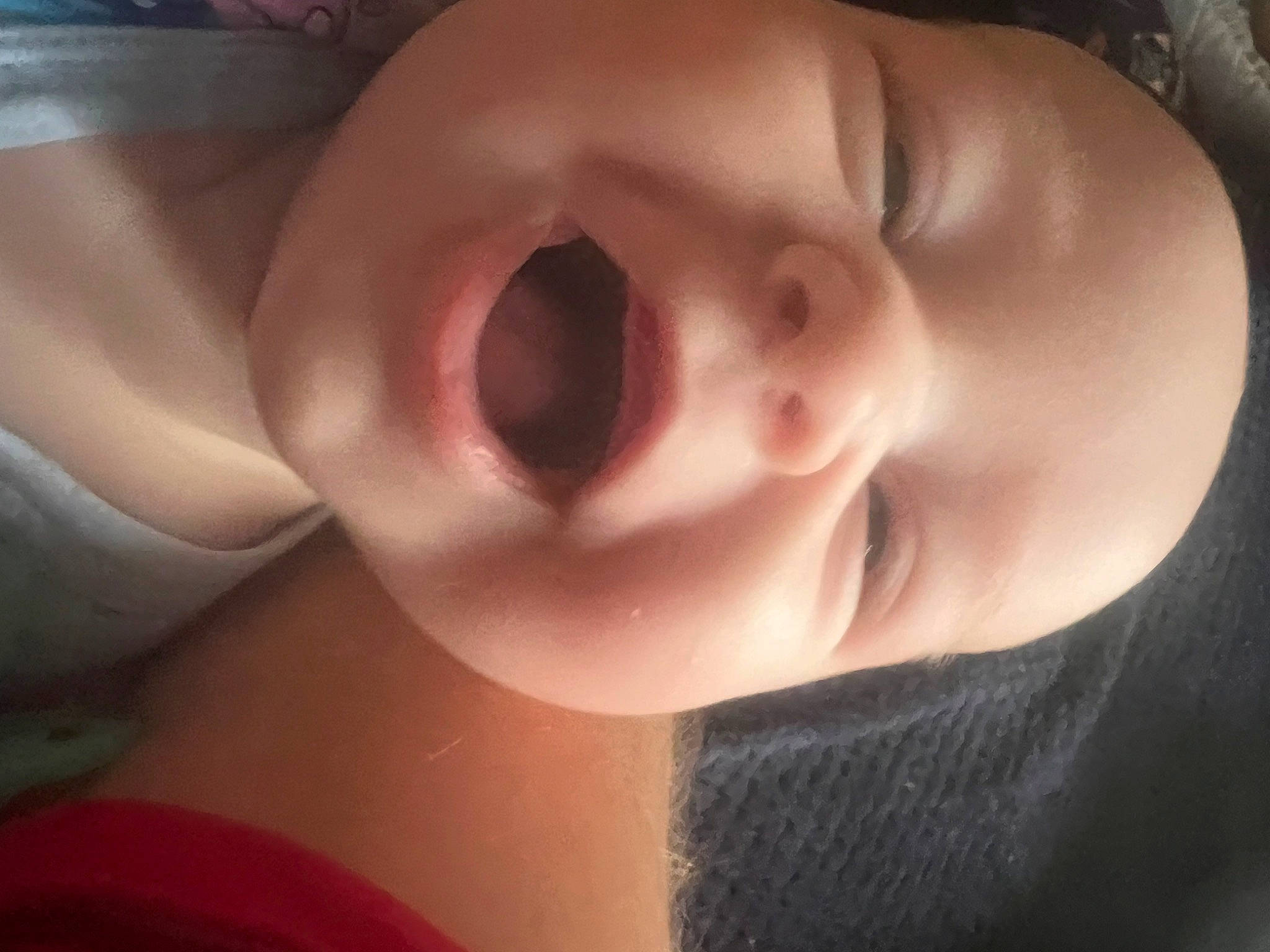 Sophia Rose joined the competition — help win amazing prizes! arm, baby, cheek, ear, eye, eyelash, forehead, hair, hand, happy, head, human_body, iris, jaw, lip, mouth, neck, nose, person, skin