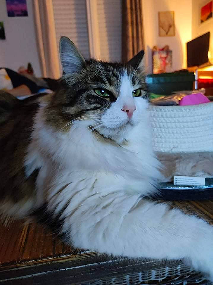 Rosie
