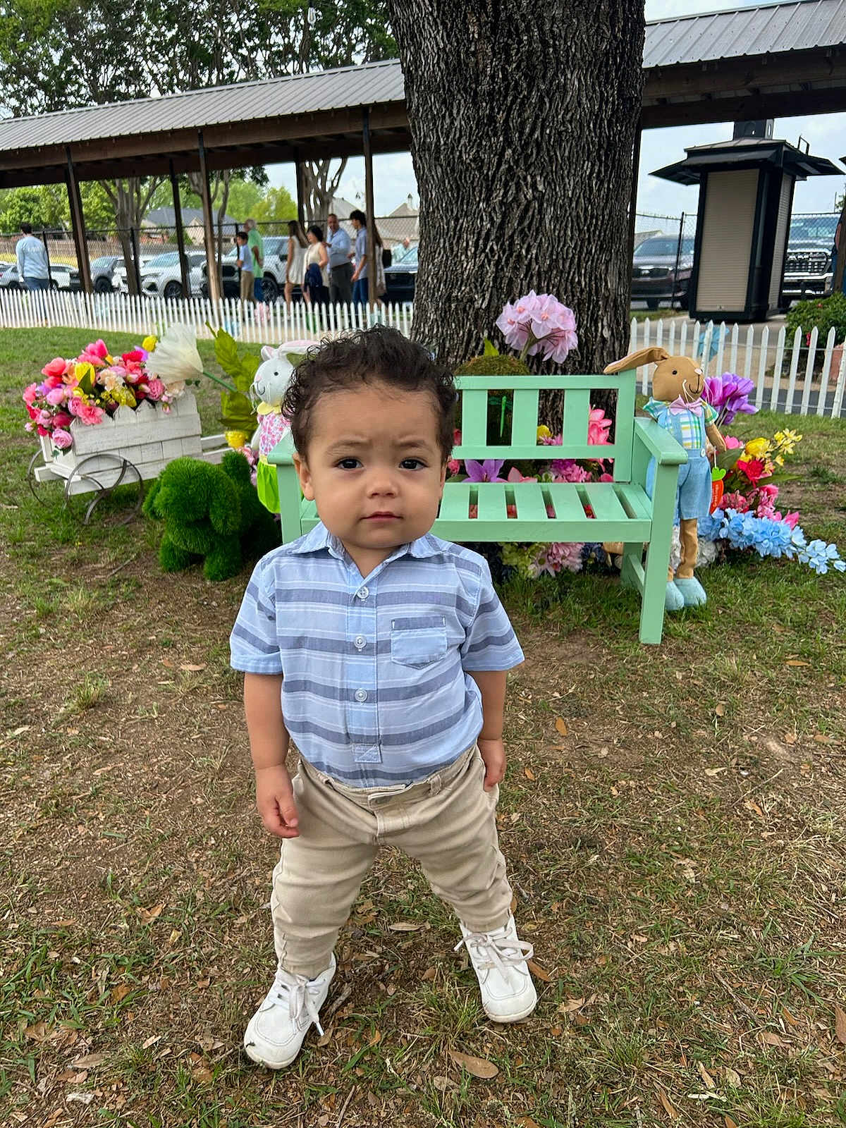 Jack Nolen joined the competition — help win amazing prizes! toddler, child, grass, tree, bench, flowers, stuffed_animals, outdoor, park, toy, greenery, people, background, clothing, shoes, shirt, pants, nature, daytime, curly_hair