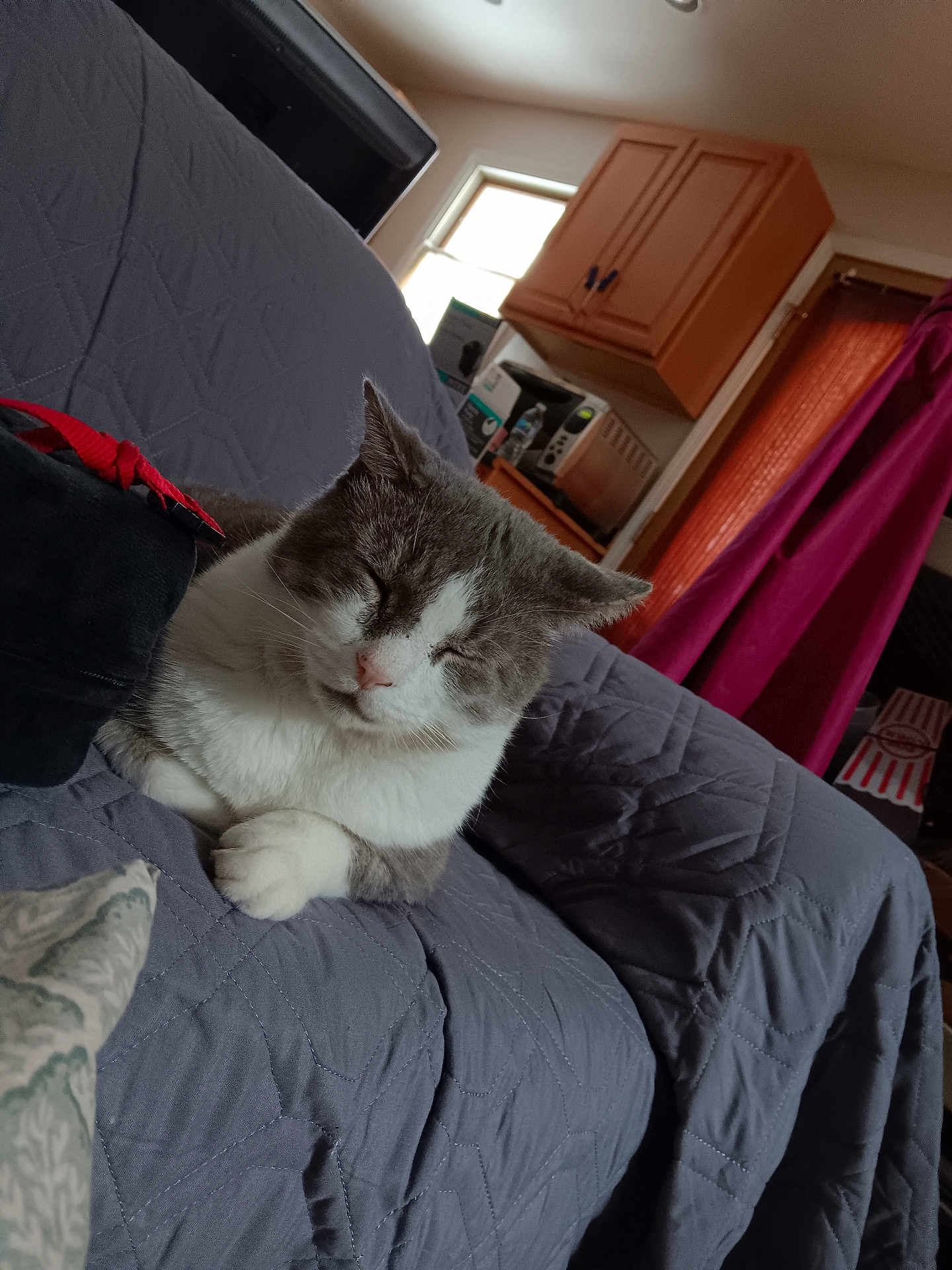 Oliver