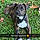 Roky