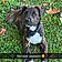 Roky
