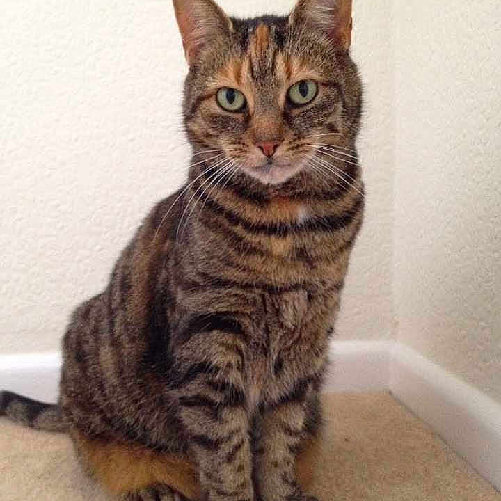 Baby Biddles Lewis joined the competition — help win amazing prizes!