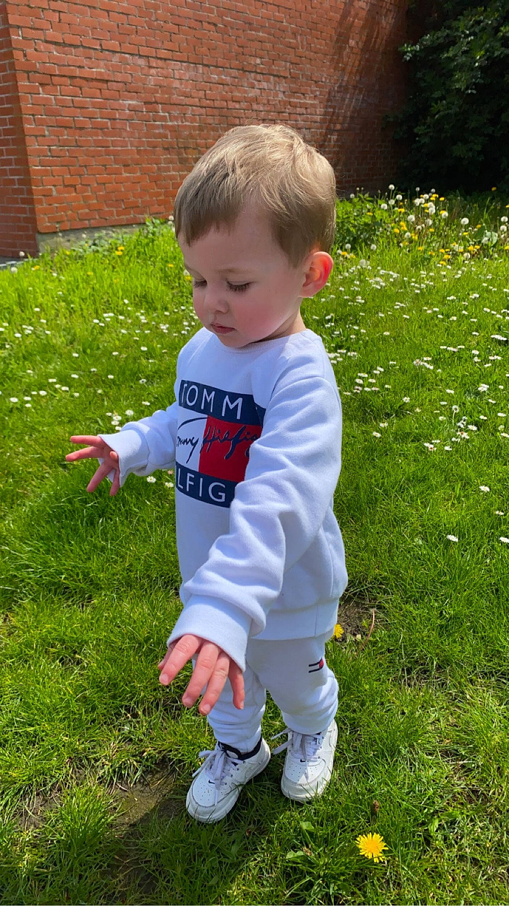 Maylone participe au concours pour gagner de l'argent avec cette photo : baby, baby_toddler_clothing, child, flooring, fun, garden, gardening, grass, grass_family, grassland, groundcover, landscaping, lawn, leaf, people_in_nature, person, plant, play, sitting, sleeve