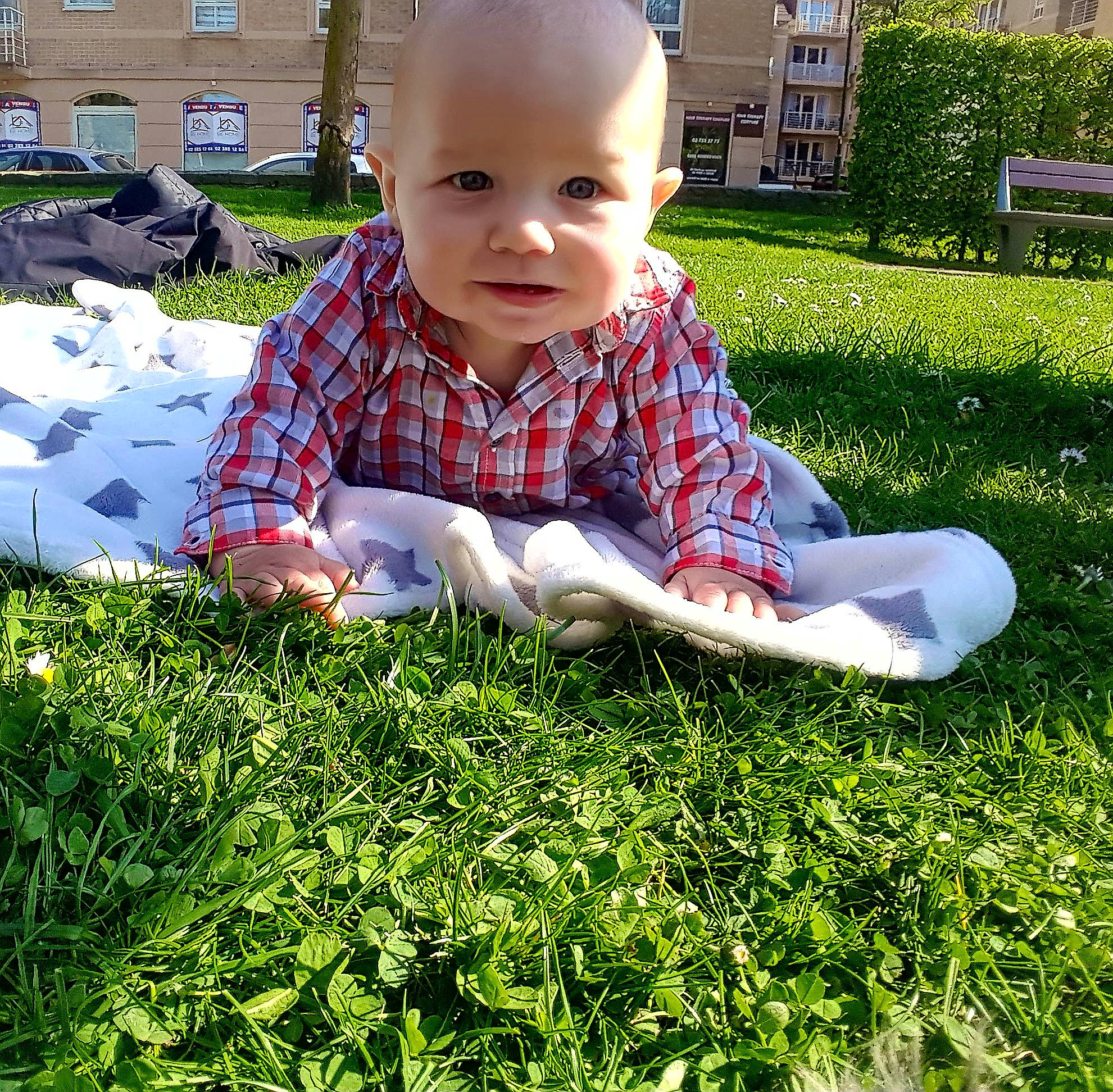 Ayden participe au concours pour gagner de l'argent avec cette photo : baby, baby_toddler_clothing, child, dress, fun, grass, grassland, green, groundcover, happy, lawn, leisure, meadow, pattern, people_in_nature, person, plant, smile, t_shirt, toddler