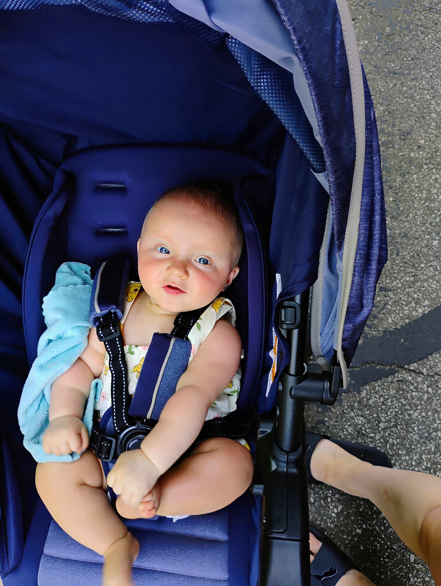 Aero joined the competition — help win amazing prizes! baby, blue_eyes, stroller, blanket, child, infant, seatbelt, outdoor, pavement, footwear, legs, summer_clothing, cute, person, baby_girl, sitting, soft_toy, candid, daylight, comfort