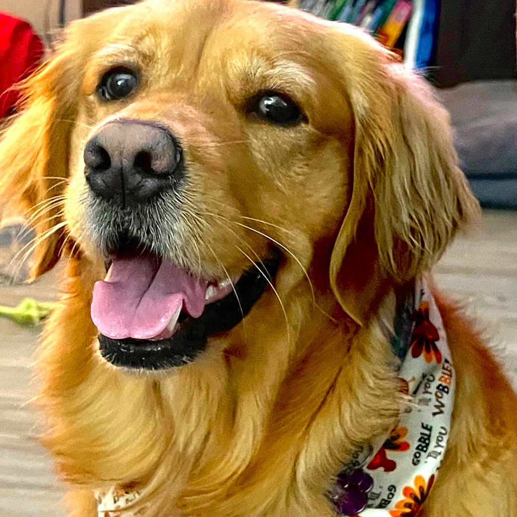 Sophie