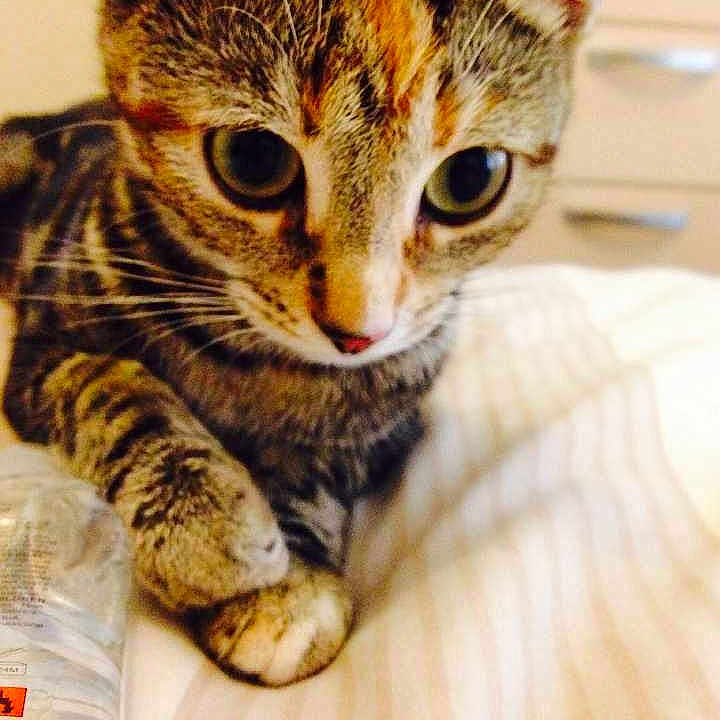 Rosie is registered to the contest to win money with this photo: