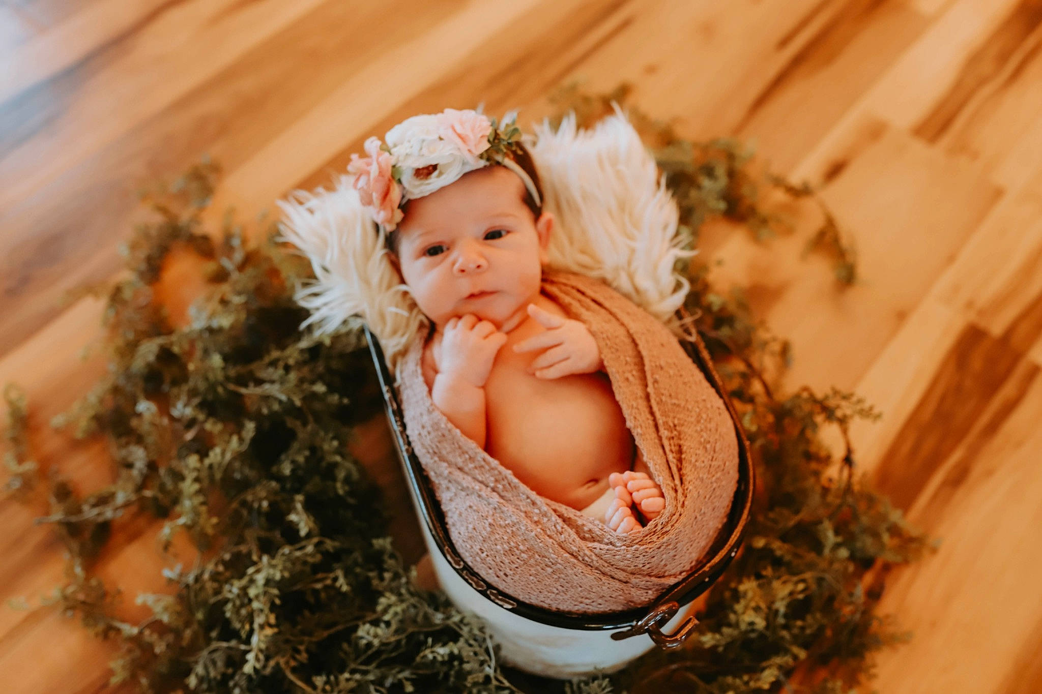 Rhylee is registered to the contest to win money with this photo: angel, baby, baby_toddler_clothing, blond, brown_hair, child, fashion_accessory, flash_photography, grass, happy, headband, headpiece, headwear, jewellery, ornament, peach, people_in_nature, person, plant, skin