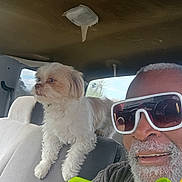 July joined the competition — help win amazing prizes! animal, beard, car_interior, casual, companion, daylight, dog, friendship, happy, indoor, leisure, man, pet, portrait, seat, smile, sunglasses, travel, white_dog, window