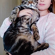 Gaïa Et Gatoune a rejoint le concours — aidez-le/la à gagner de superbes lots ! girl, child, cat, tabby_cat, pet, indoor, pajamas, holding, portrait, feline, young, person, animal, cute, domestic_animal, fur, face, expression, home, cozy