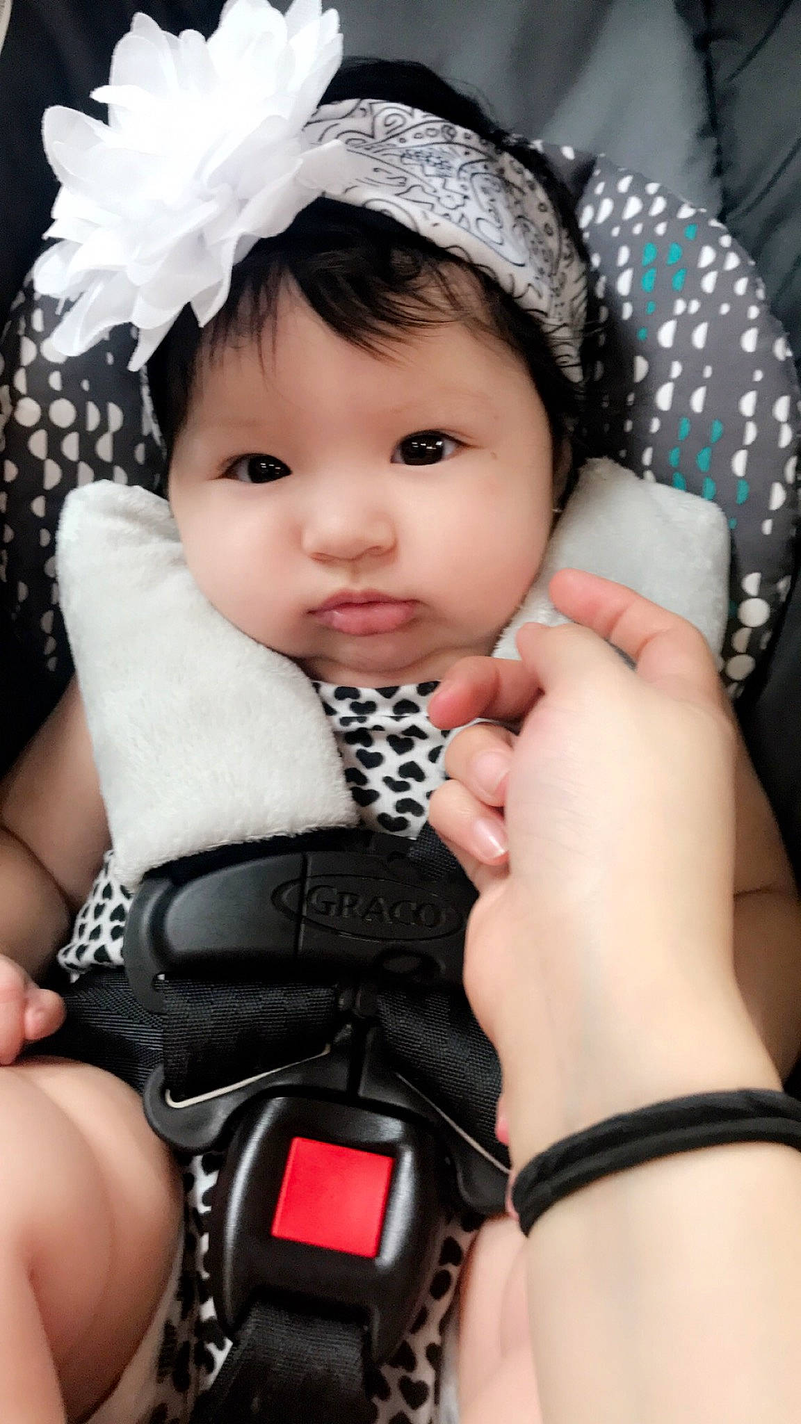 Megan joined the competition — help win amazing prizes! baby, baby_products, child, child_model, fashion_accessory, finger, hair_accessory, hand, headgear, nail, person, photography, product, toddler